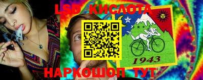 индика Нальчик