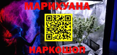 индика Нальчик