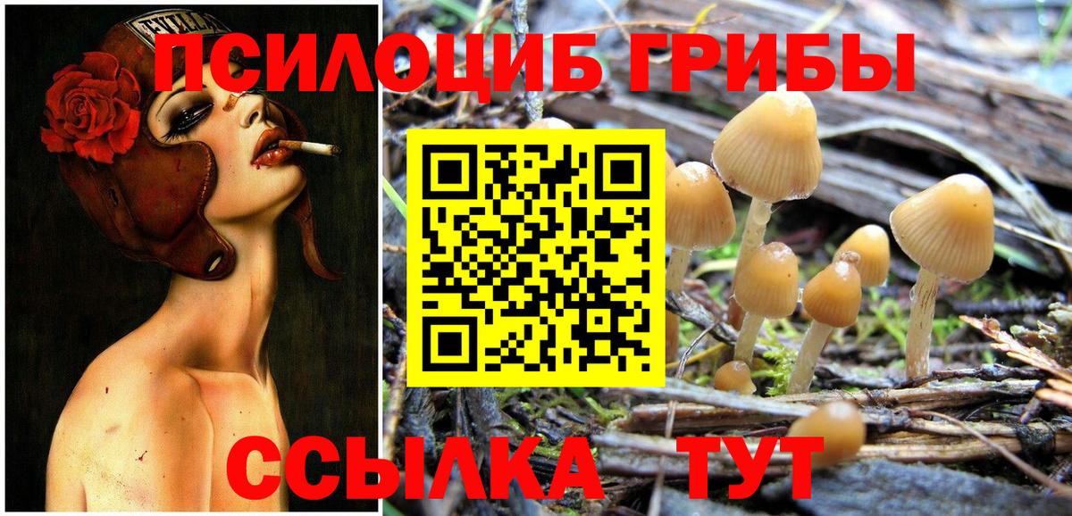 Галлюциногенные грибы MAGIC MUSHROOMS  Вход с VPN  Псилоцибиновые грибы MAGIC MUSHROOMS  Топки 